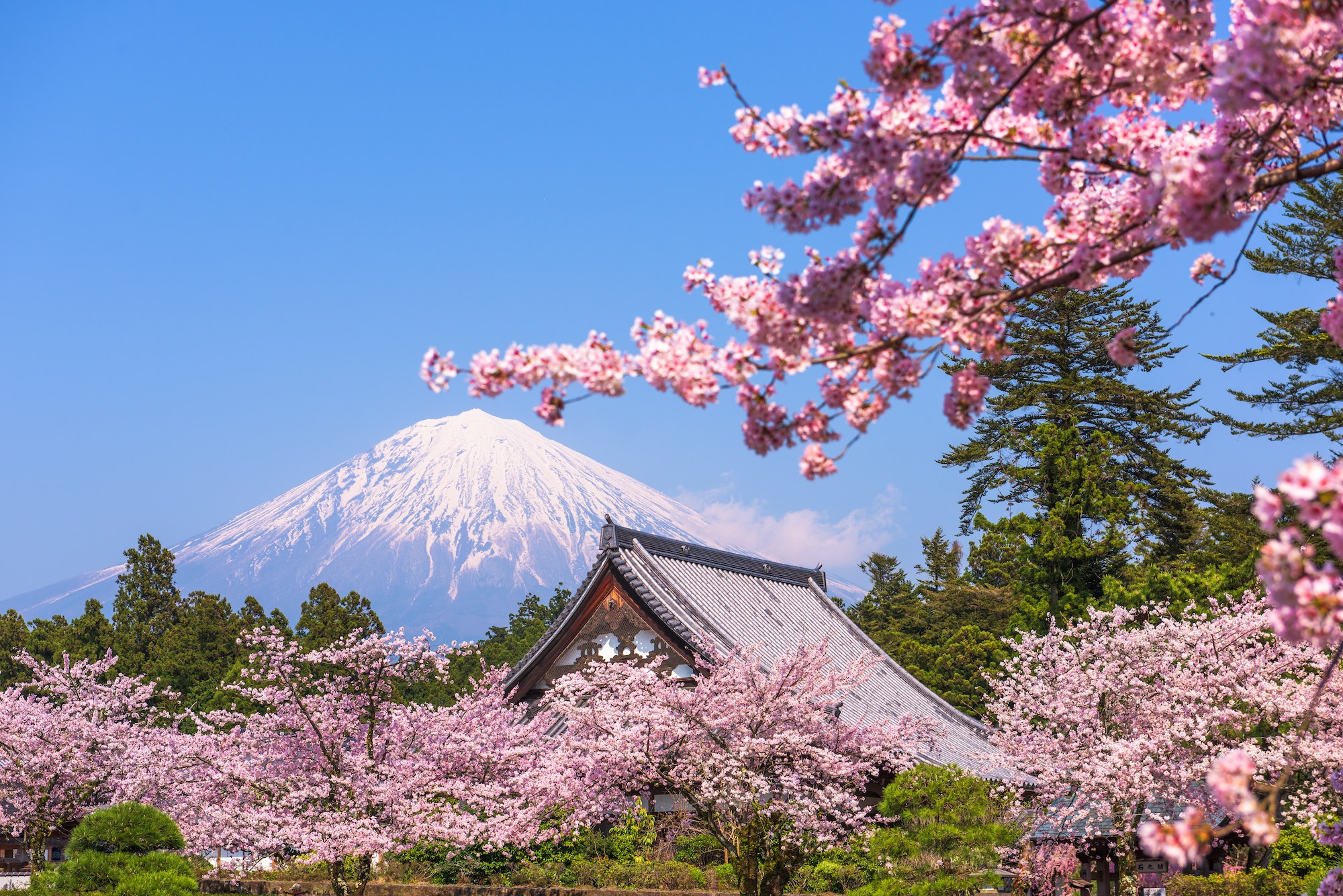 fujinomiya-shizuoka-japan-with-mt-fuji.jpg