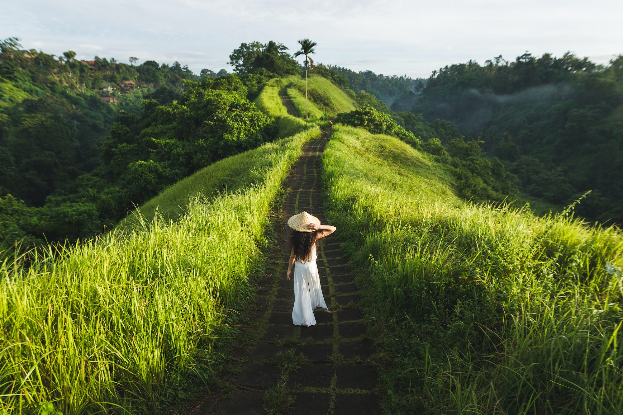 young-beautiful-woman-walking-on-campuhan-ridge-way-of-artists-in-bali-ubud-.jpg